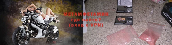 прущие грибы Михайлов