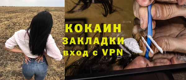 дурь Алзамай