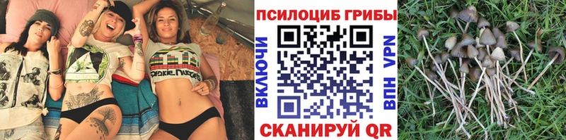 Псилоцибиновые грибы ЛСД  где продают   это какой сайт  Брянск 
